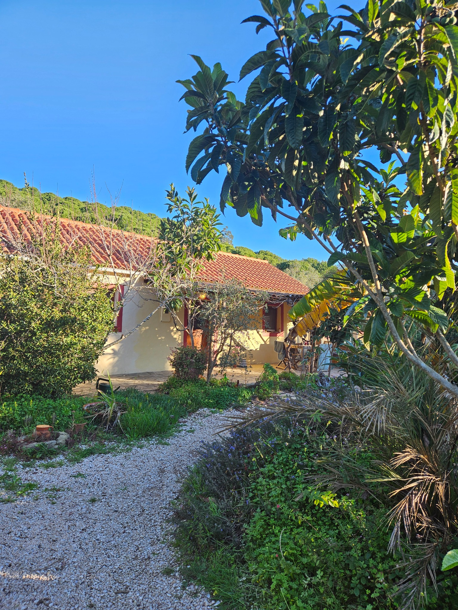 Unser Zuhause im Grünen im Alentejo in Portugal