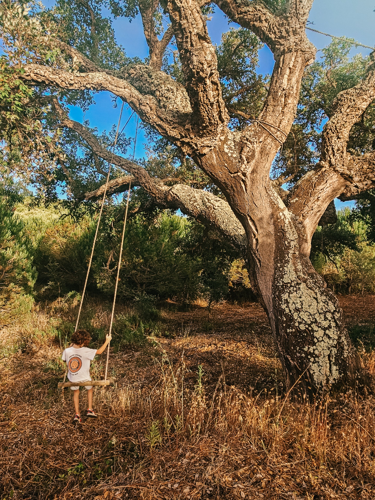 Kind auf einer Schaukel unter einer Korkeiche im Alentejo